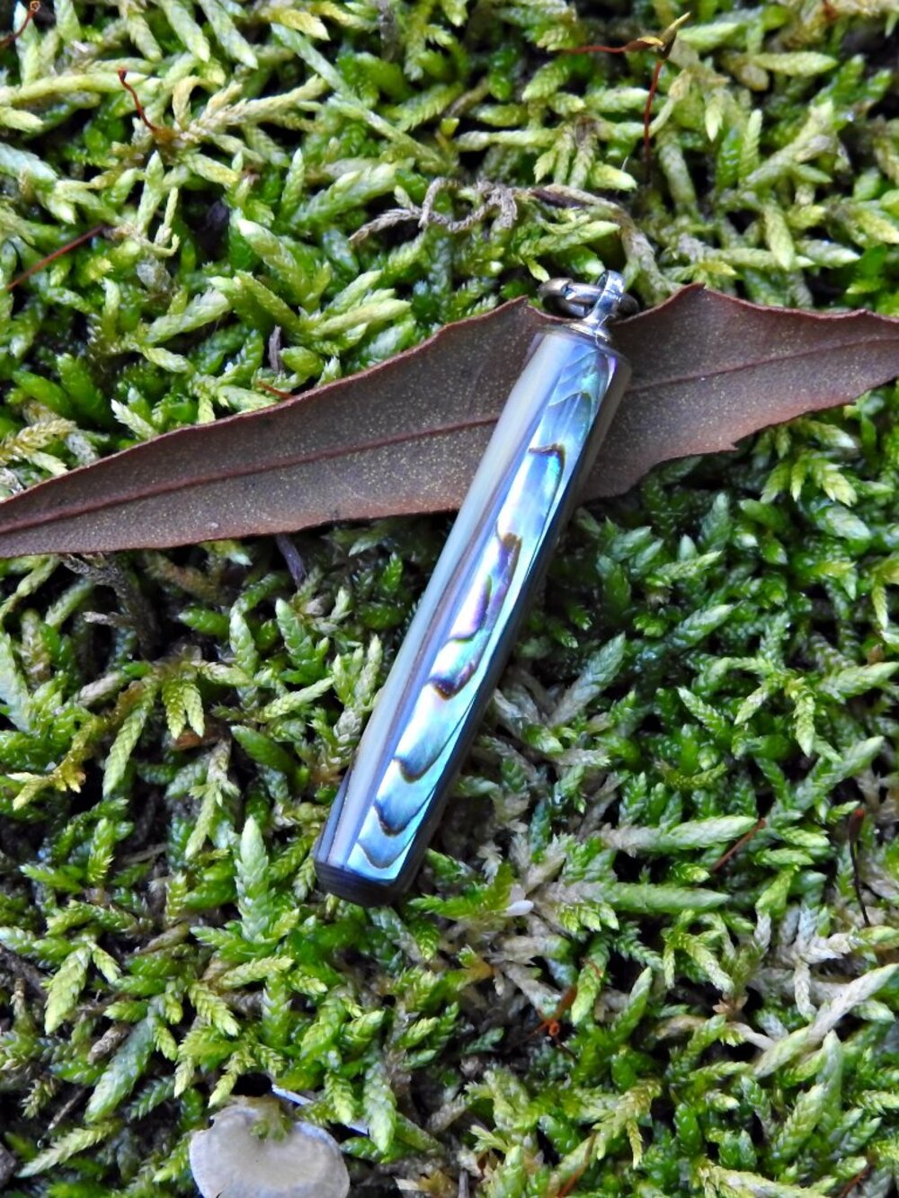 Dainty Colorful Abalone Gemstone Pendant - Picture 4 of 6